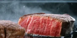 خواص گوشت غزال در طب سنتی برای لاغری و مضرات آن