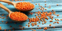 خواص عدس قرمز در طب سنتی برای لاغری و مضرات آن