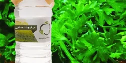 خواص عرق کروز در طب سنتی برای لاغری و مضرات آن