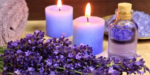 خواص عرق اسطوخودوس در طب سنتی برای لاغری و مضرات آن