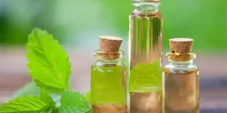 خواص عرق نعناع در طب سنتی برای لاغری و مضرات آن