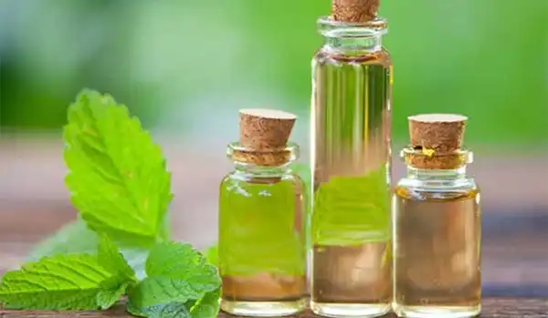 خواص عرق نعناع در طب سنتی برای لاغری و مضرات آن