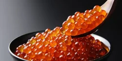 خواص اشپل ماهی در طب سنتی برای لاغری و مضرات آن