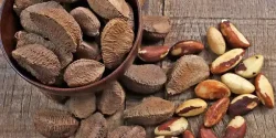 خواص بادام برزیلی در طب سنتی برای لاغری و مضرات آن