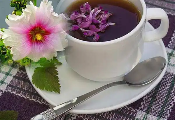 خواص دمنوش گل ختمی در طب سنتی برای لاغری و مضرات آن