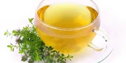 خواص دمنوش مرزنجوش در طب سنتی برای لاغری و مضرات آن