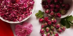 خواص گل محمدی در طب سنتی برای لاغری و مضرات آن