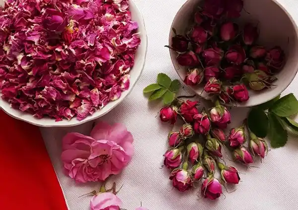 خواص گل محمدی در طب سنتی برای لاغری و مضرات آن