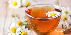خواص گل بابونه در طب سنتی برای لاغری و مضرات آن
