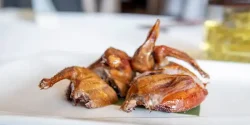 خواص گوشت کبوتر در طب سنتی برای لاغری و مضرات آن