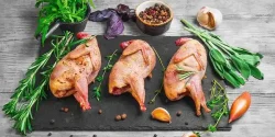 خواص گوشت پرندگان وحشی در طب سنتی برای لاغری و مضرات آن