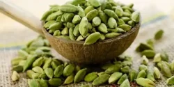 خواص هل سبز در طب سنتی برای لاغری و مضرات آن