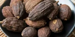 خواص هل سیاه در طب سنتی برای لاغری و مضرات آن
