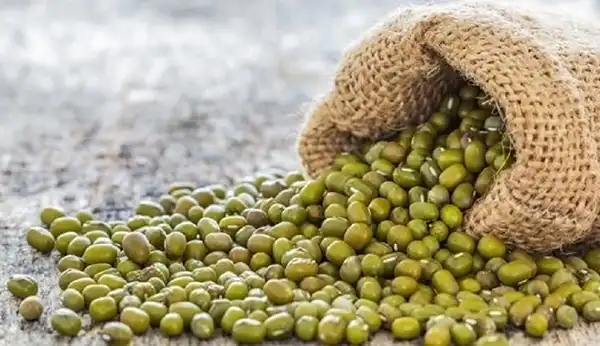 خواص ماش در طب سنتی برای لاغری و مضرات آن