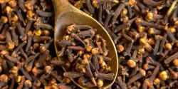 خواص میخک در طب سنتی برای لاغری و مضرات آن