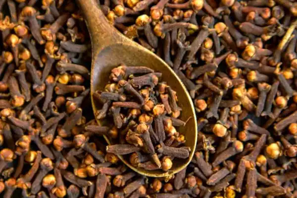 خواص میخک در طب سنتی برای لاغری و مضرات آن