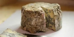 خواص پنیر بلوچیز در طب سنتی برای لاغری و مضرات آن