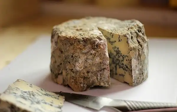 خواص پنیر بلوچیز در طب سنتی برای لاغری و مضرات آن