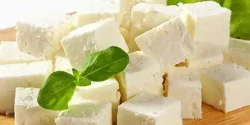 خواص پنیر گوسفندی در طب سنتی برای لاغری و مضرات آن