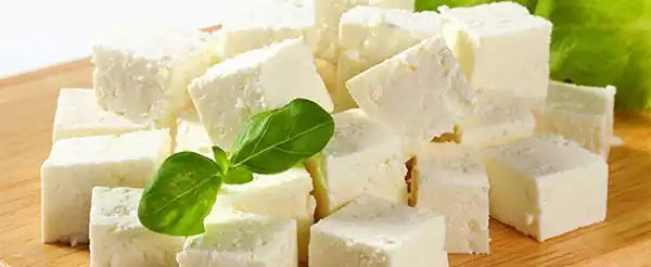 خواص پنیر گوسفندی در طب سنتی برای لاغری و مضرات آن