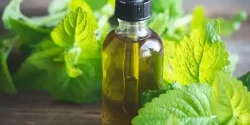 خواص روغن نعناع در طب سنتی برای لاغری و مضرات آن