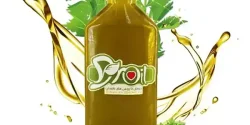 خواص روغن کرفس در طب سنتی برای لاغری و مضرات آن