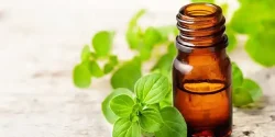 خواص روغن مرزنجوش در طب سنتی برای لاغری و مضرات آن