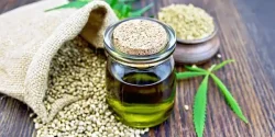 خواص روغن شاهدانه در طب سنتی برای لاغری و مضرات آن