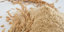 خواص سبوس گندم در طب سنتی برای لاغری و مضرات آن