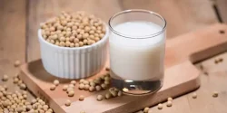 خواص شیر سویا در طب سنتی برای لاغری و مضرات آن