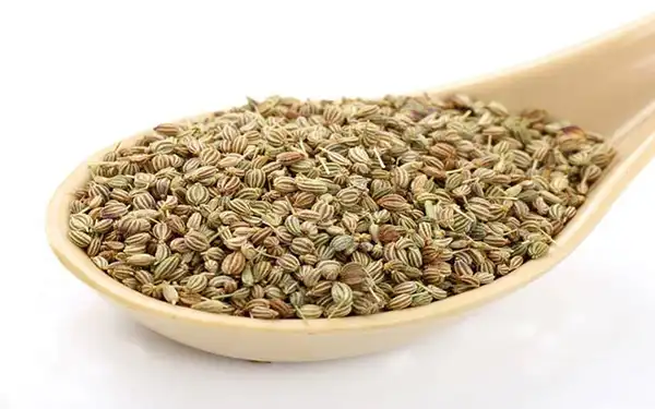 خواص زنیان در طب سنتی برای لاغری و مضرات آن