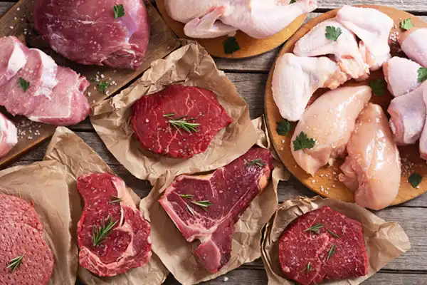 خواص گوشت طوطی در طب سنتی برای لاغری و مضرات آن