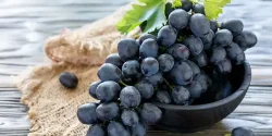 خواص انگور سیاه در طب سنتی برای لاغری و مضرات آن