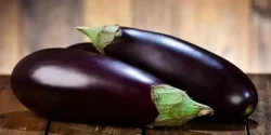 خواص بادمجان در طب سنتی برای لاغری و مضرات آن