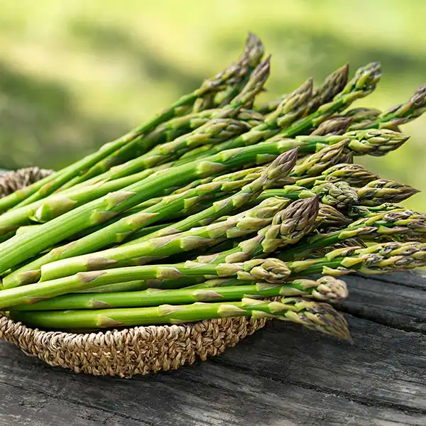 خواص مارچوبه در طب سنتی برای لاغری و مضرات آن