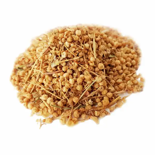 خواص افتیمون در طب سنتی برای لاغری و مضرات آن