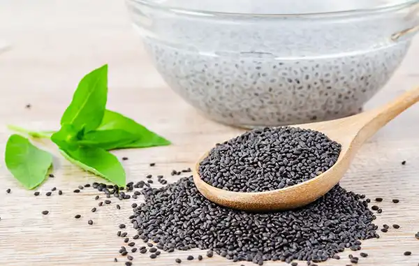 خواص تخم شربتی در طب سنتی برای لاغری و مضرات آن