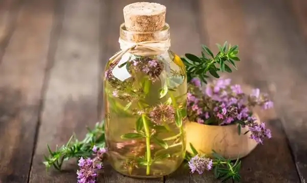خواص عرق آویشن در طب سنتی برای لاغری و مضرات آن