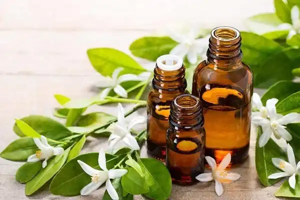 خواص عرق بهار نارنج در طب سنتی برای لاغری و مضرات آن