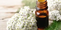 خواص عرق بومادران در طب سنتی برای لاغری و مضرات آن