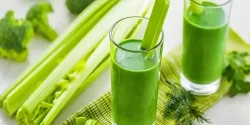 خواص عرق کرفس در طب سنتی برای لاغری و مضرات آن