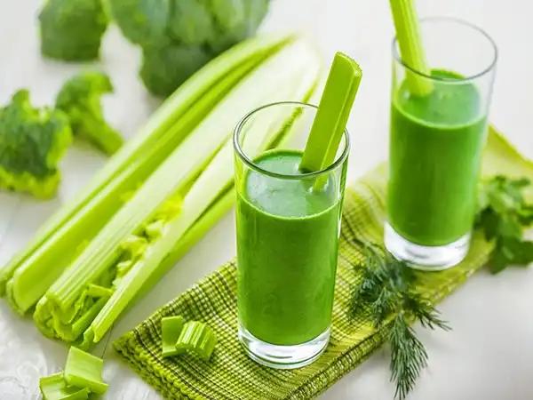 خواص عرق کرفس در طب سنتی برای لاغری و مضرات آن