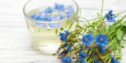 خواص عرق کاسنی در طب سنتی برای لاغری و مضرات آن