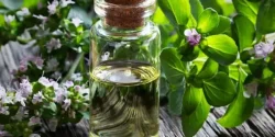 خواص عرق پونه در طب سنتی برای لاغری و مضرات آن