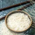 خواص برنج در طب سنتی برای لاغری و مضرات آن