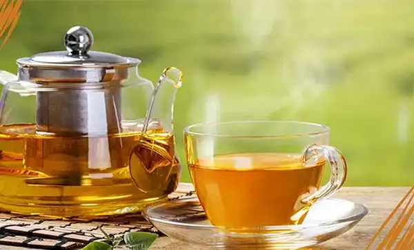 خواص چای به در طب سنتی برای لاغری و مضرات آن