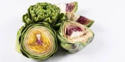 خواص کنگر فرنگی در طب سنتی برای لاغری و مضرات آن
