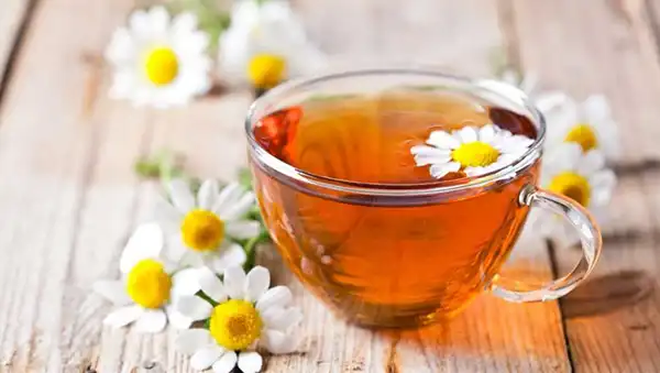 خواص دمنوش بابونه در طب سنتی برای لاغری و مضرات آن