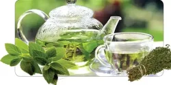 خواص دمنوش نعناع در طب سنتی برای لاغری و مضرات آن