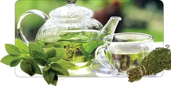 خواص دمنوش نعناع در طب سنتی برای لاغری و مضرات آن
